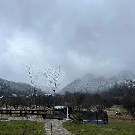 кольорове життя * Mykulychyn