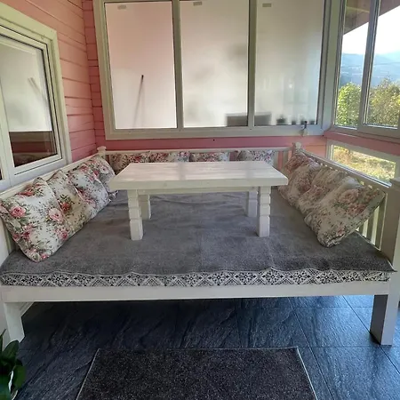 кольорове життя *