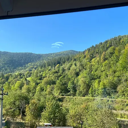 львівський квартал *