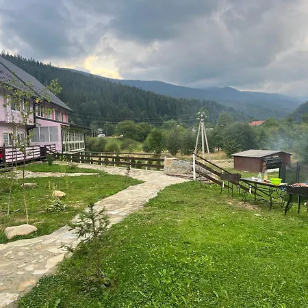 кольорове життя *