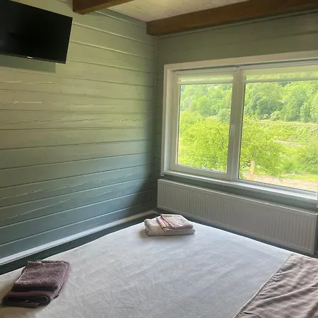 кольорове життя