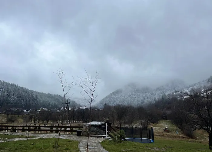 кольорове життя * Mykulychyn