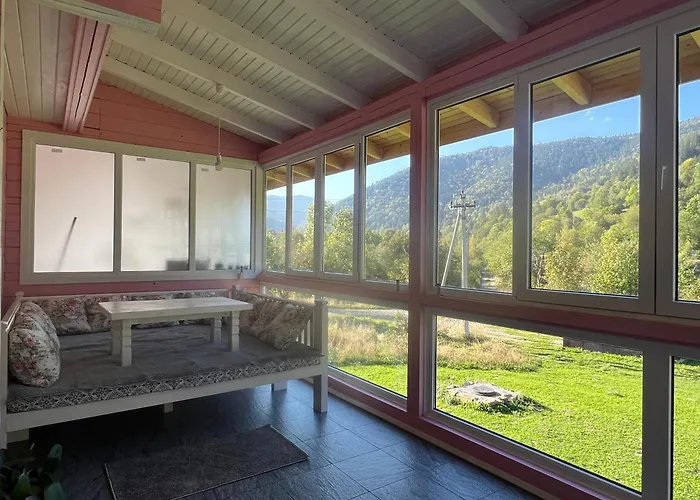 Tatil Evi кольорове життя