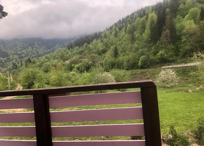 кольорове життя Tatil Evi *